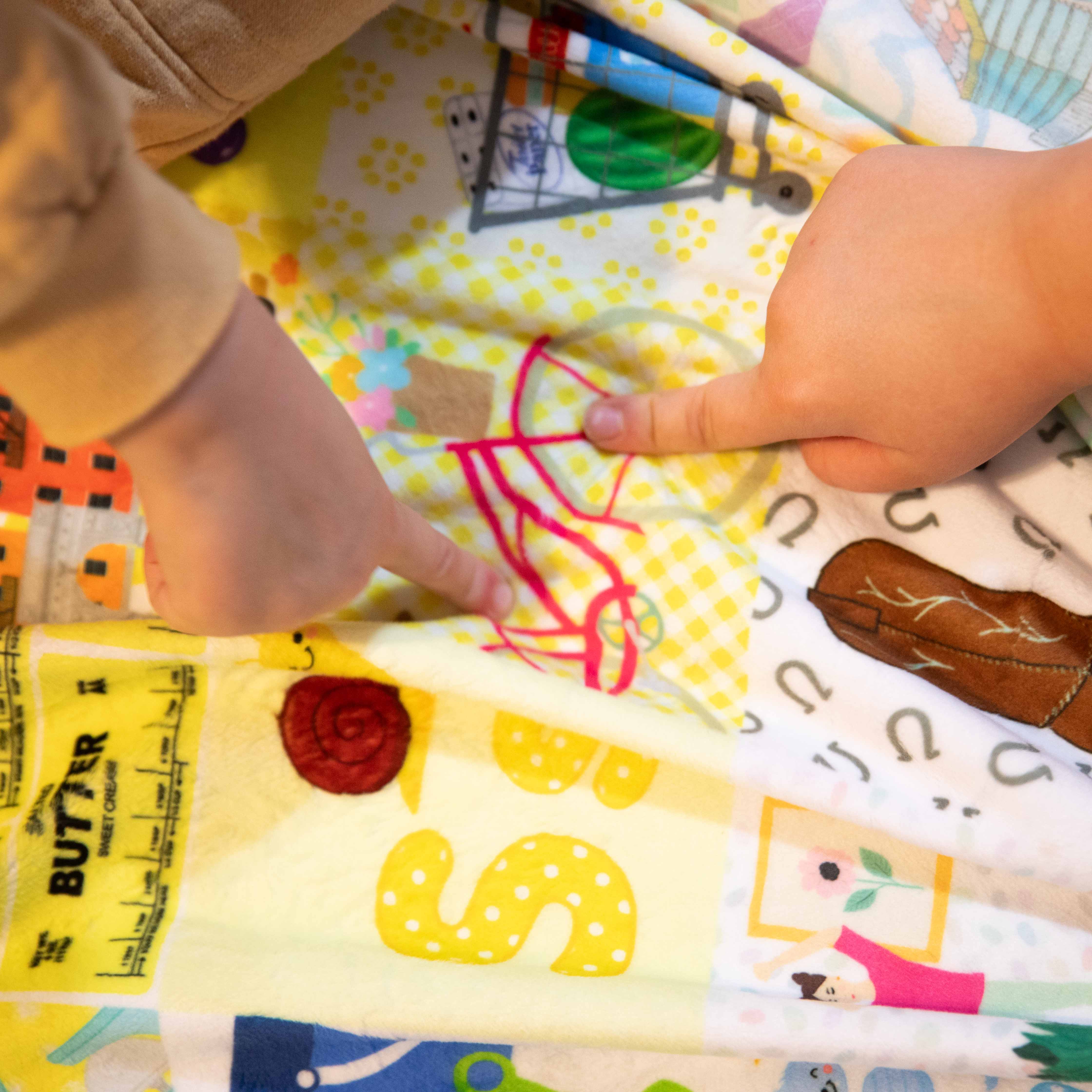 Abc Hidden Pictures Minky Quilt Panel