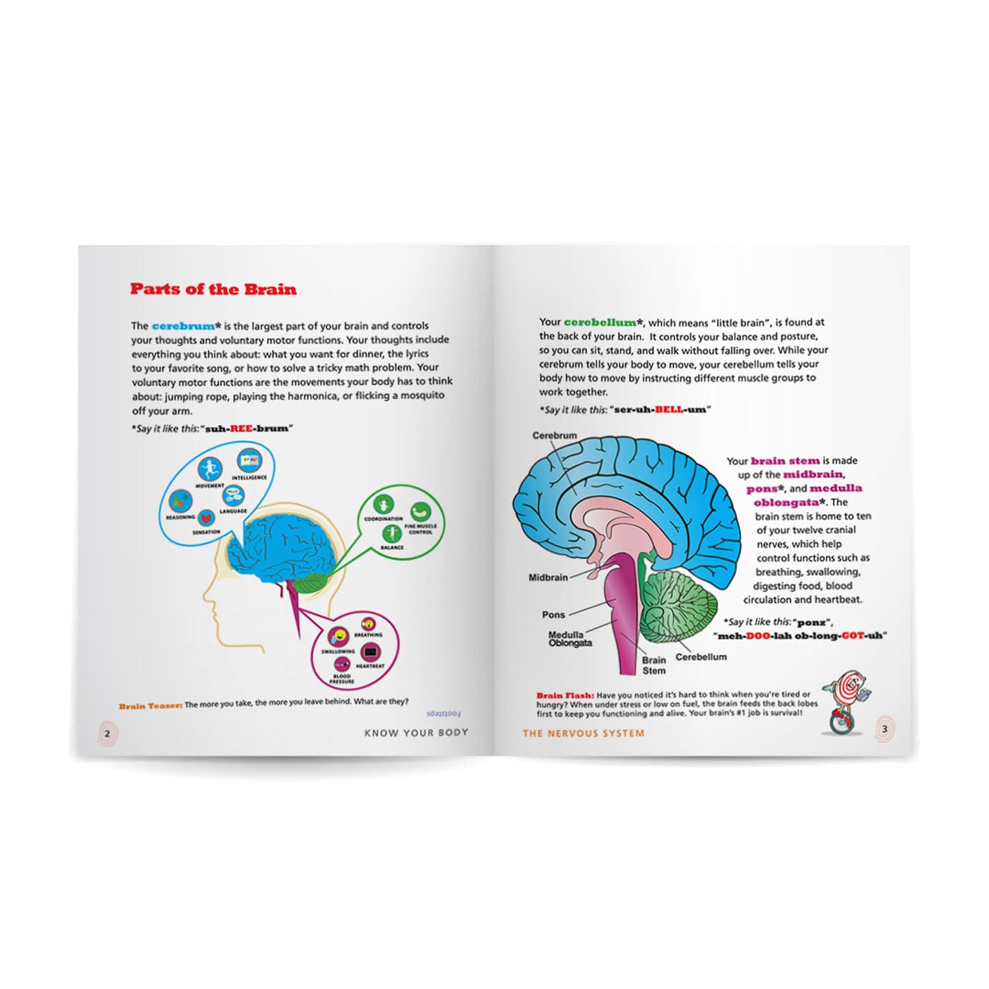 Know Your Body 6 Book Bundle