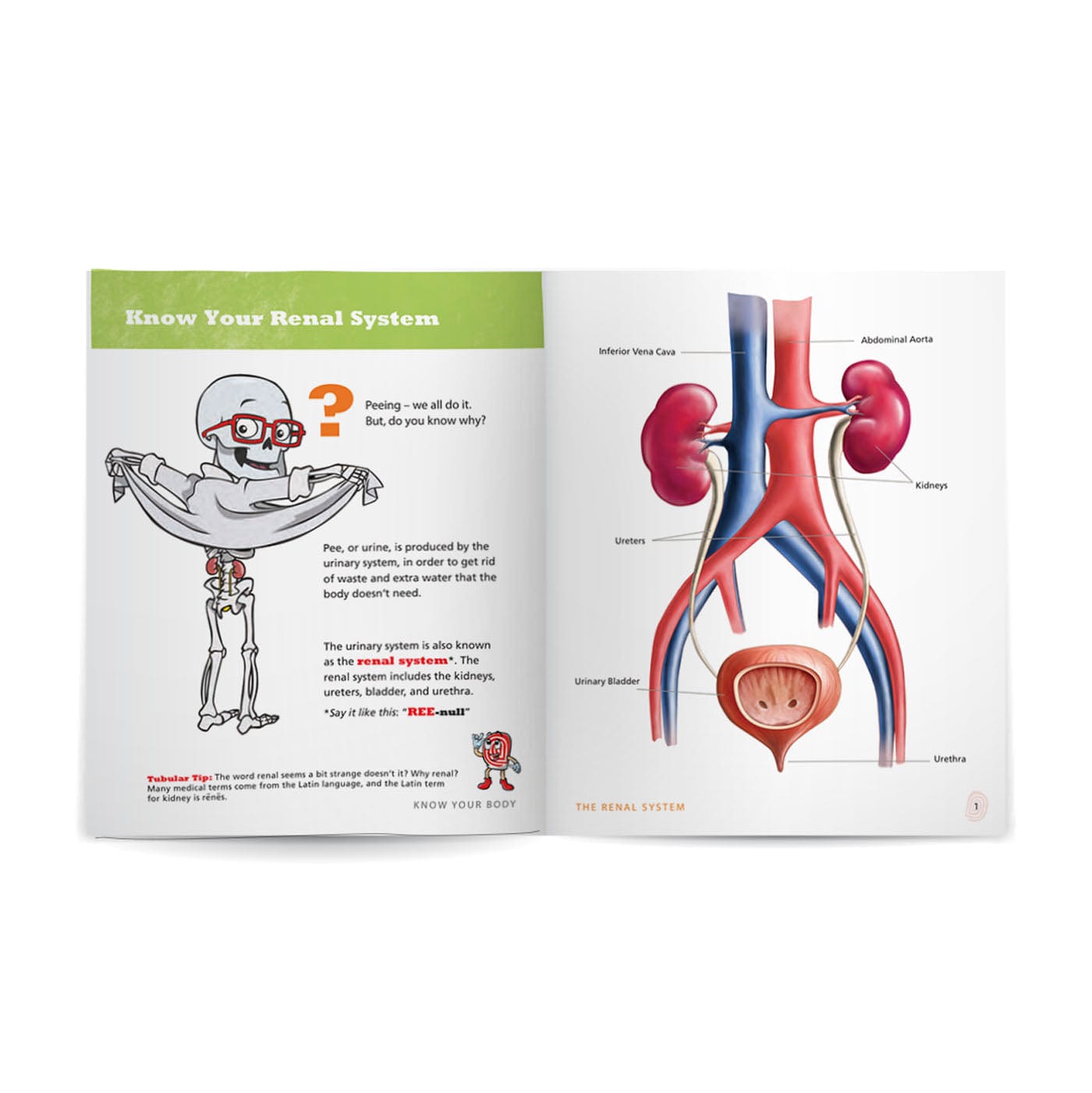 Know Your Body 6 Book Bundle