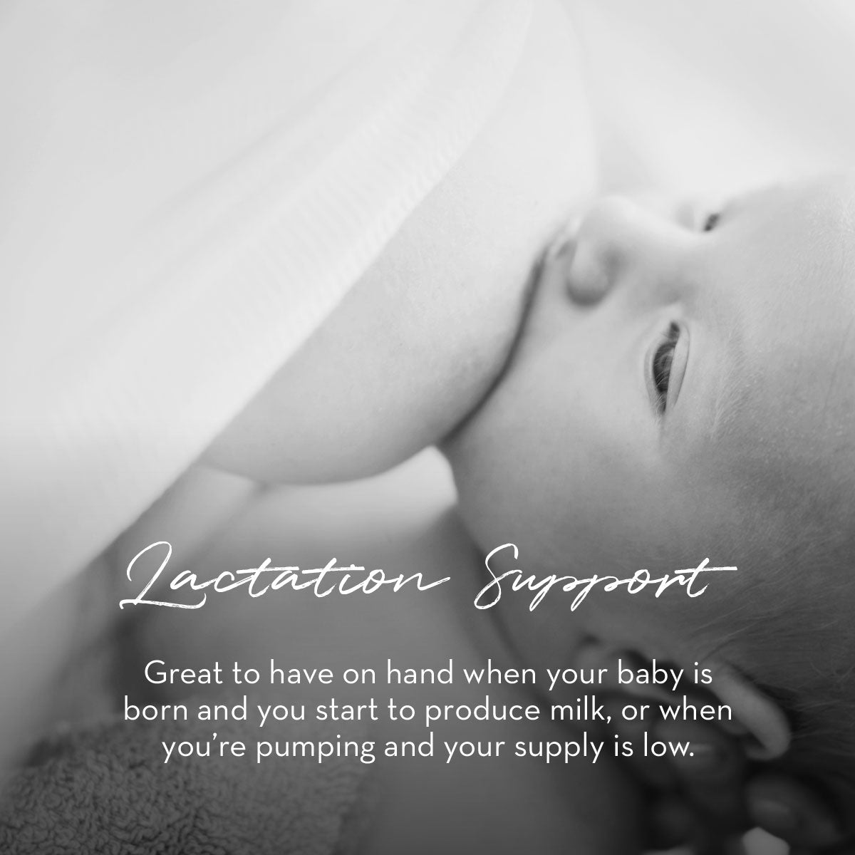 Breastfeeding Bundle