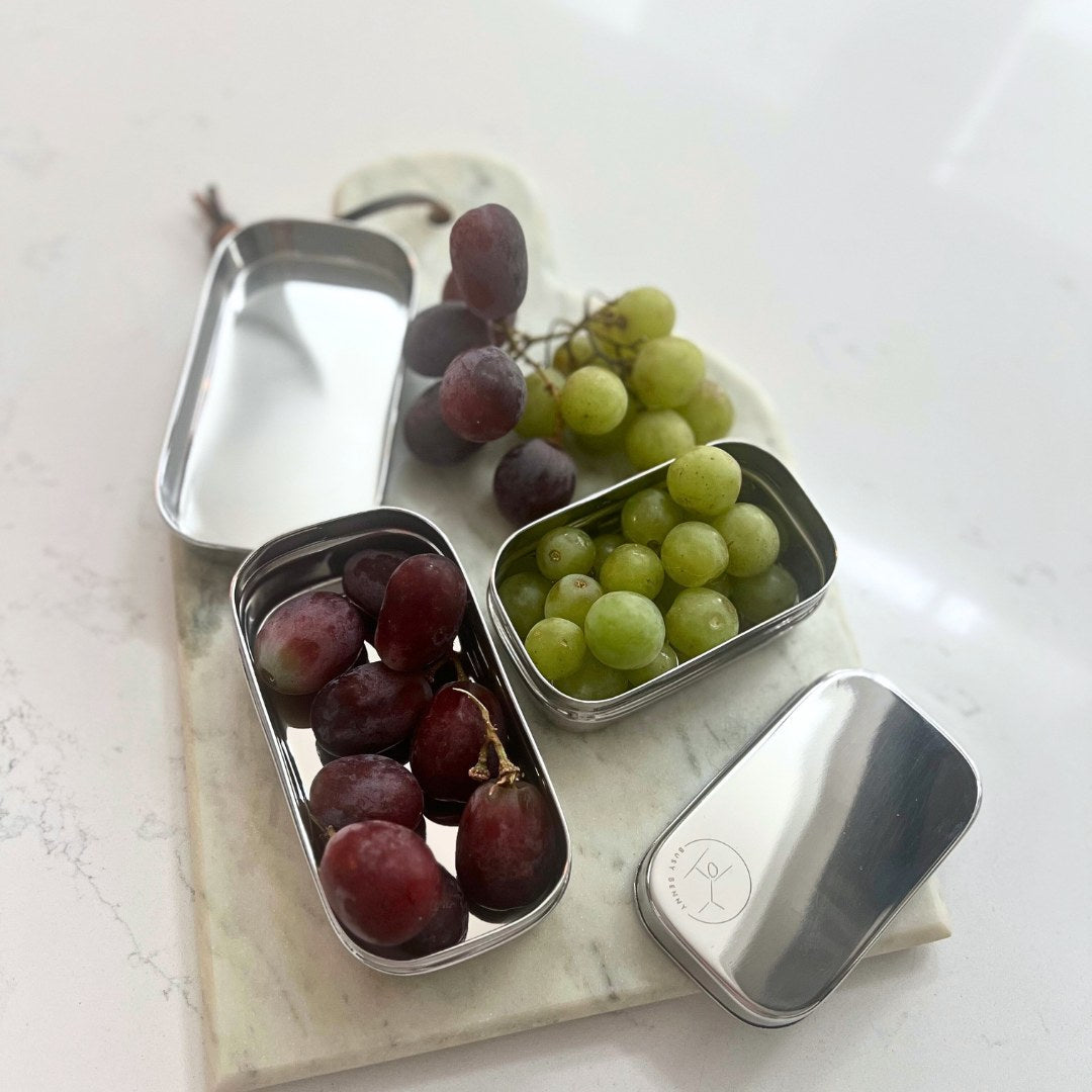 Stainless Steel Snack Container With Stainless Steel Lid (large)