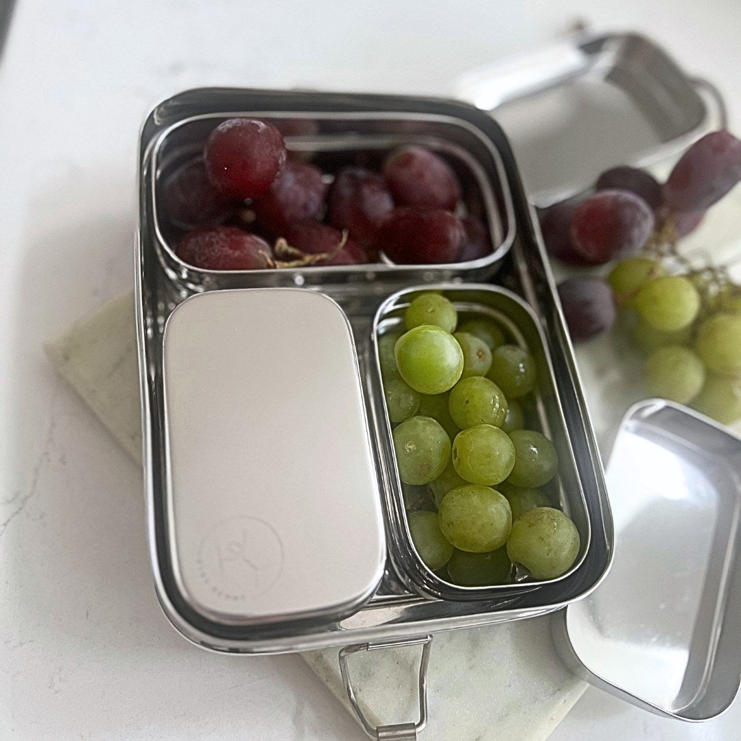 Stainless Steel Snack Container With Stainless Steel Lid (large)