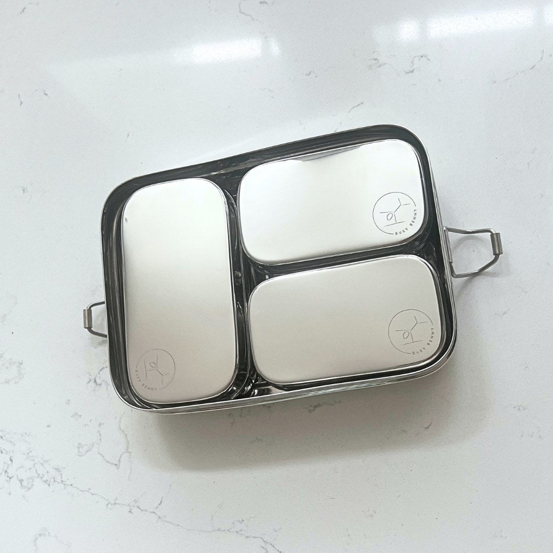 Stainless Steel Snack Container With Stainless Steel Lid (large)