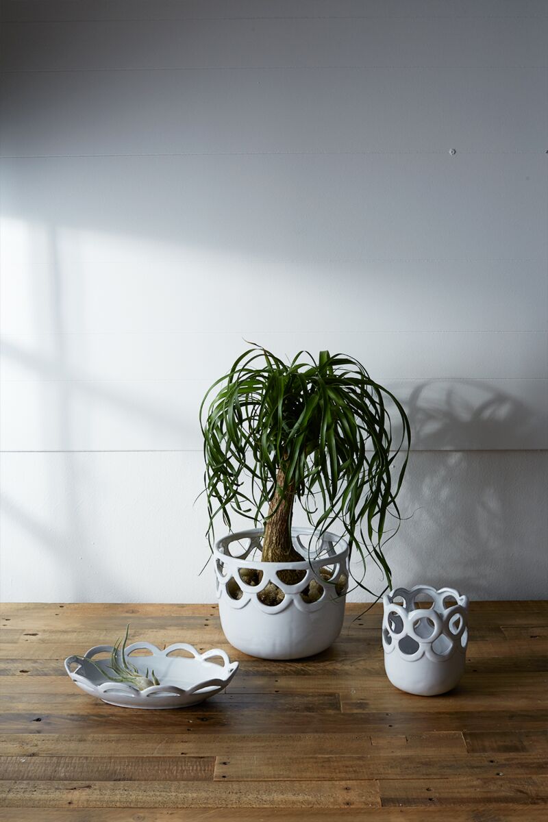 Lattice Bowl