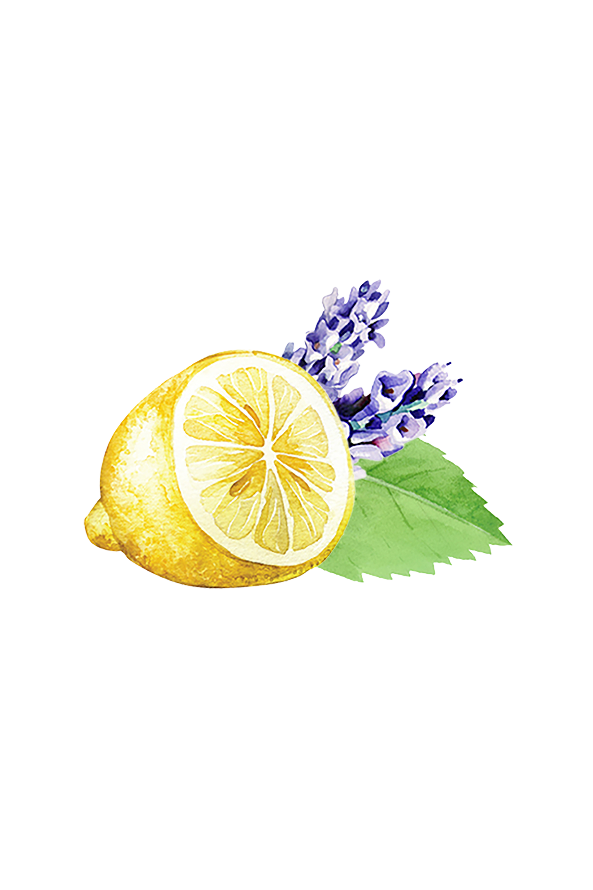 Lavender, Lemon & Mint Essential Oil Blend
