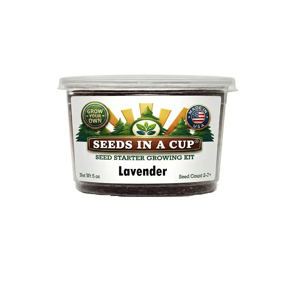 Lavender Grow Kit |