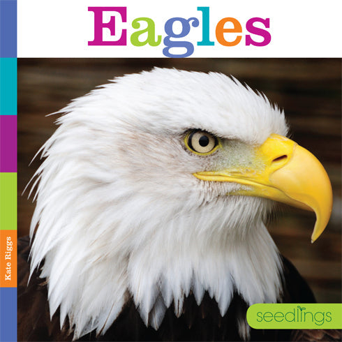 Seedlings: Eagles by The Creative Company