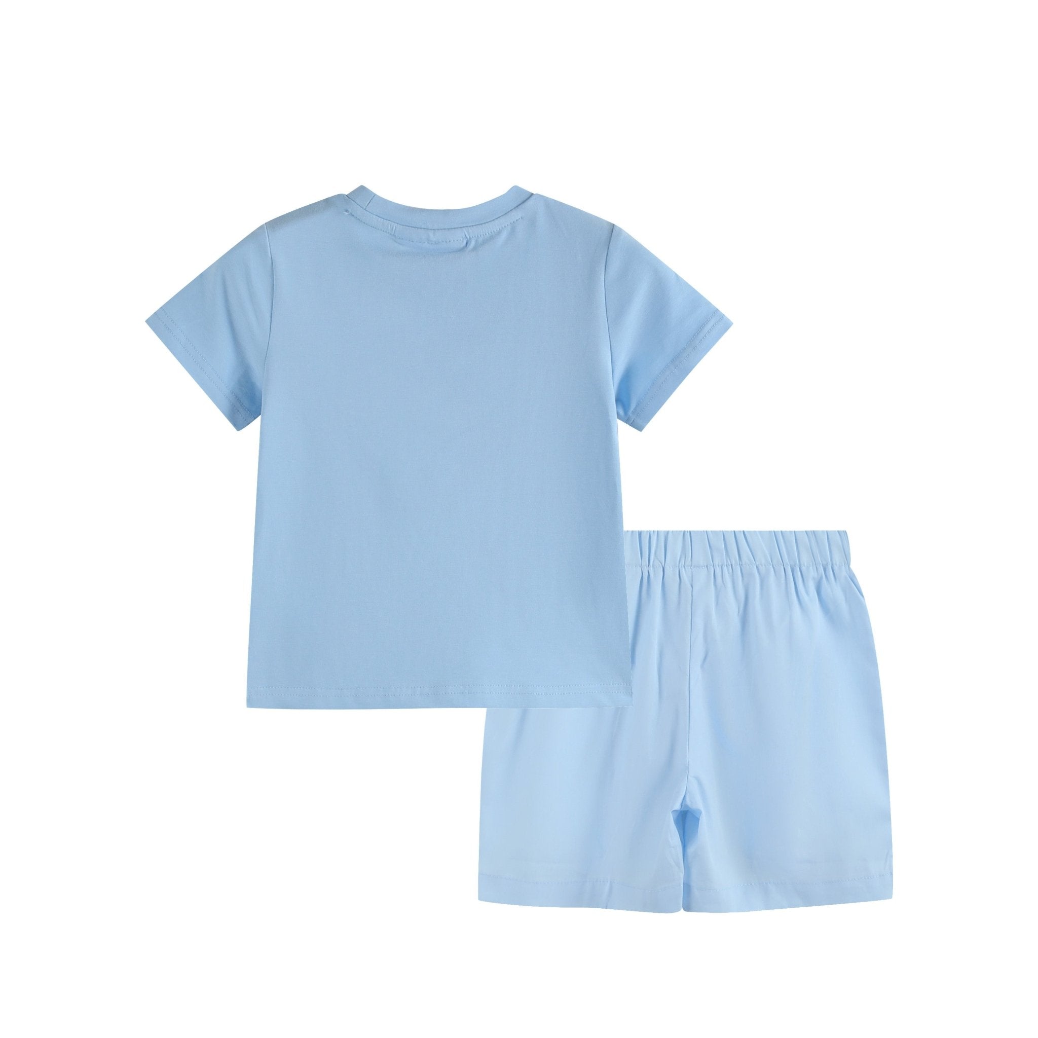 Light Blue Bunny Smocked T-shirt And Shorts Set