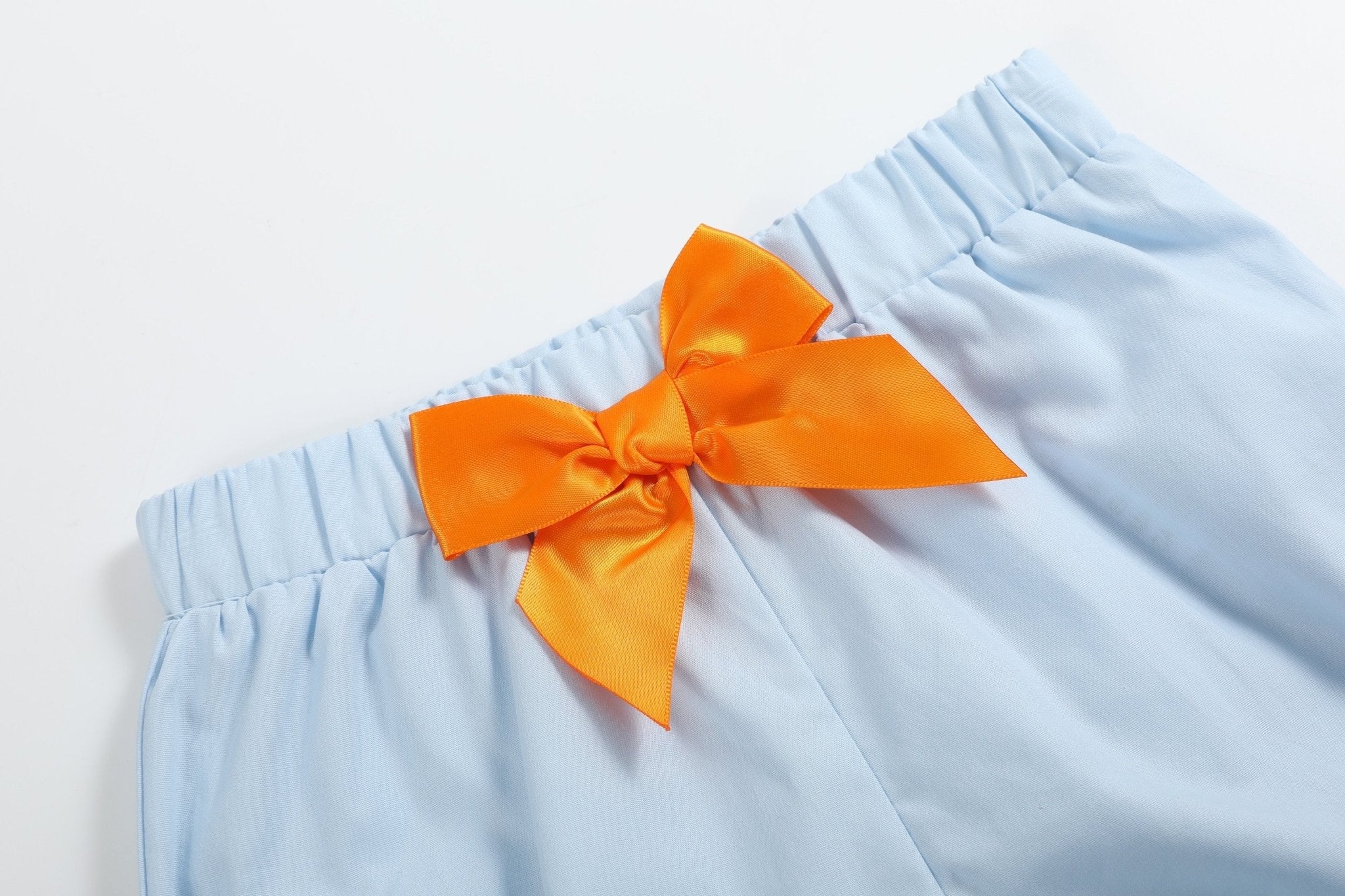 Light Blue Pumpkin Vine Smocked Dress And Bloomers