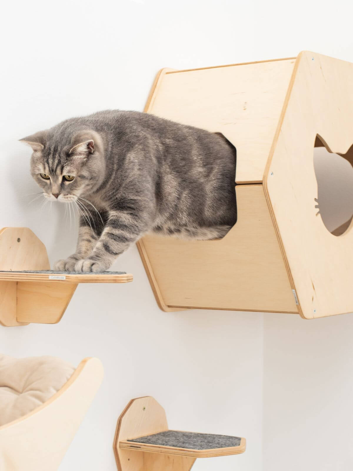Small Cat House