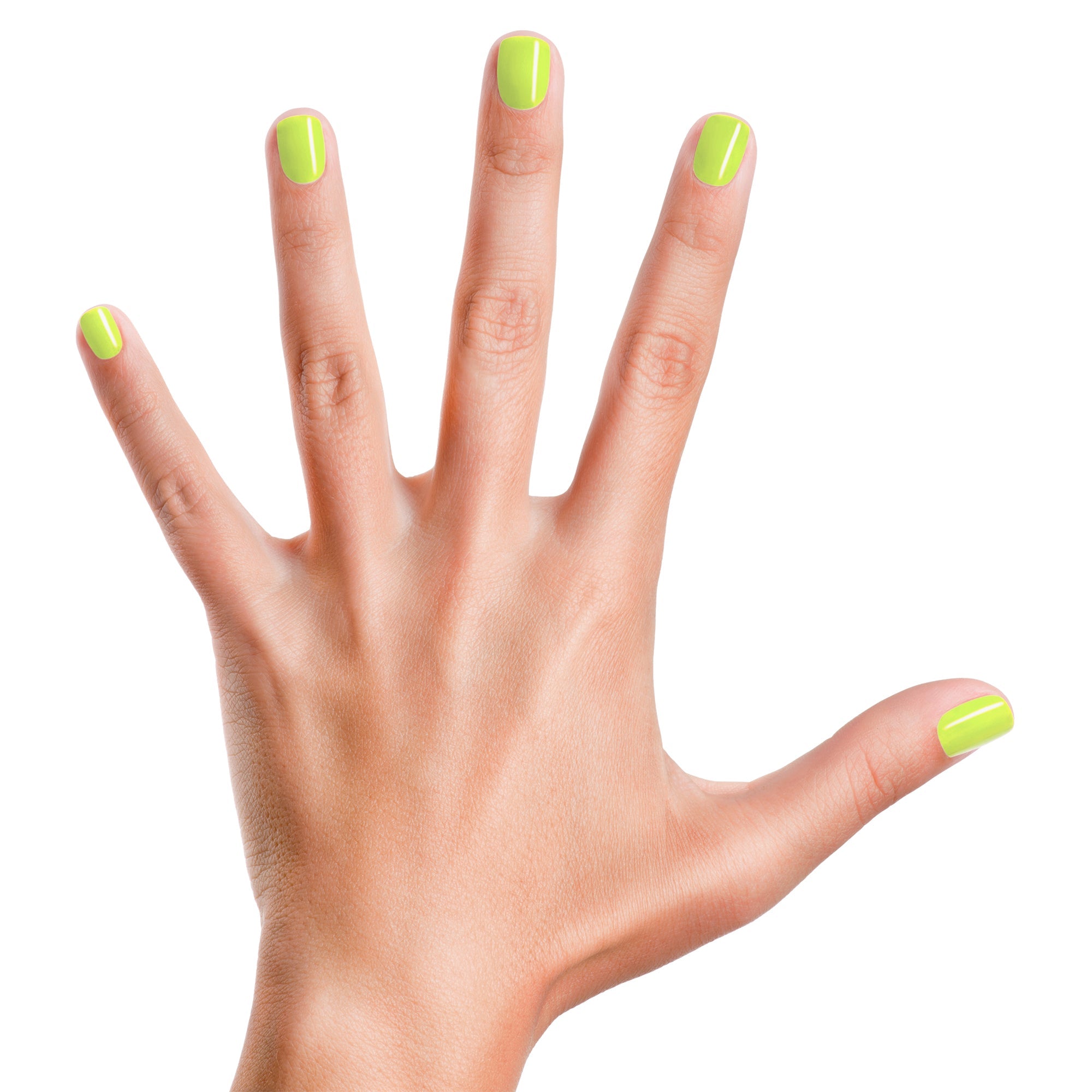 Lime Time - Neon Lime Green