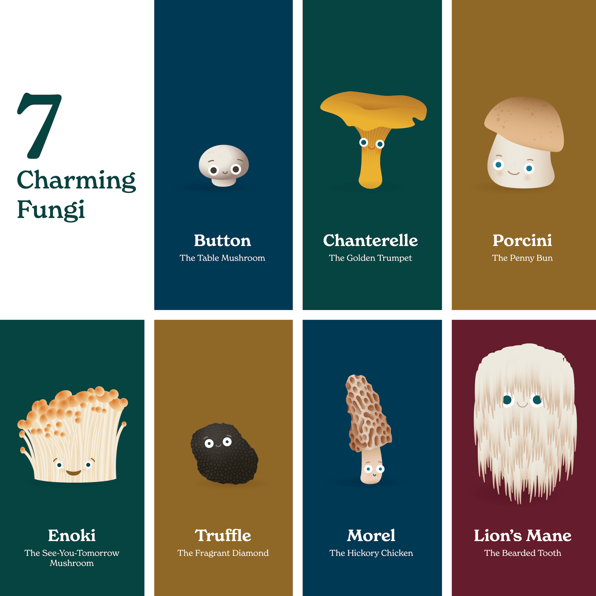 Little Book Of Fungi