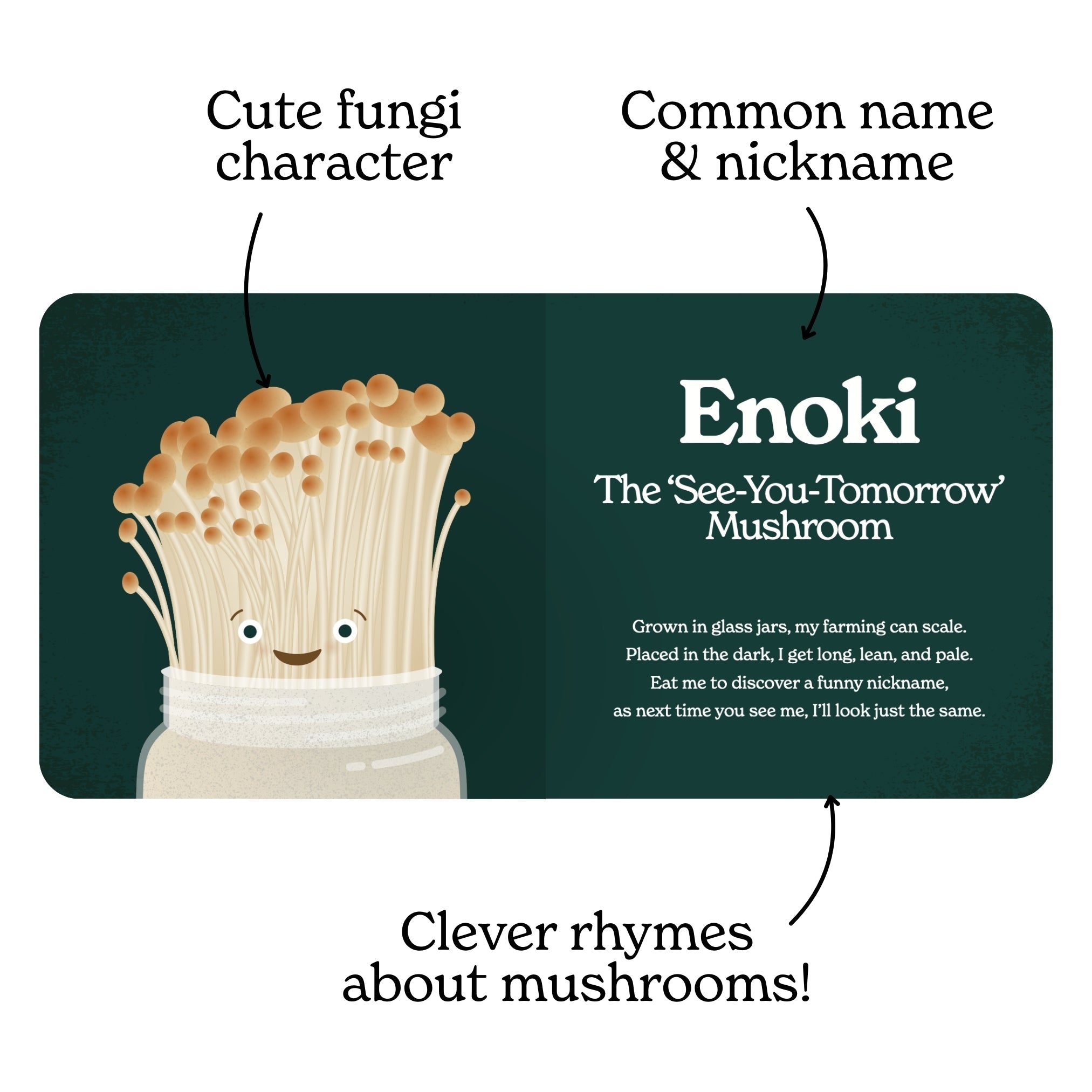 Little Book Of Fungi