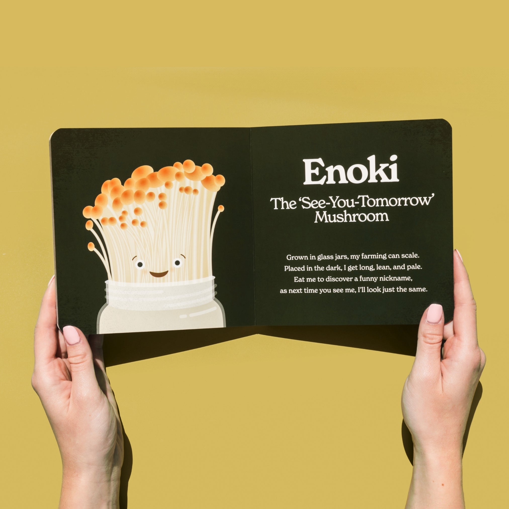 Little Book Of Fungi