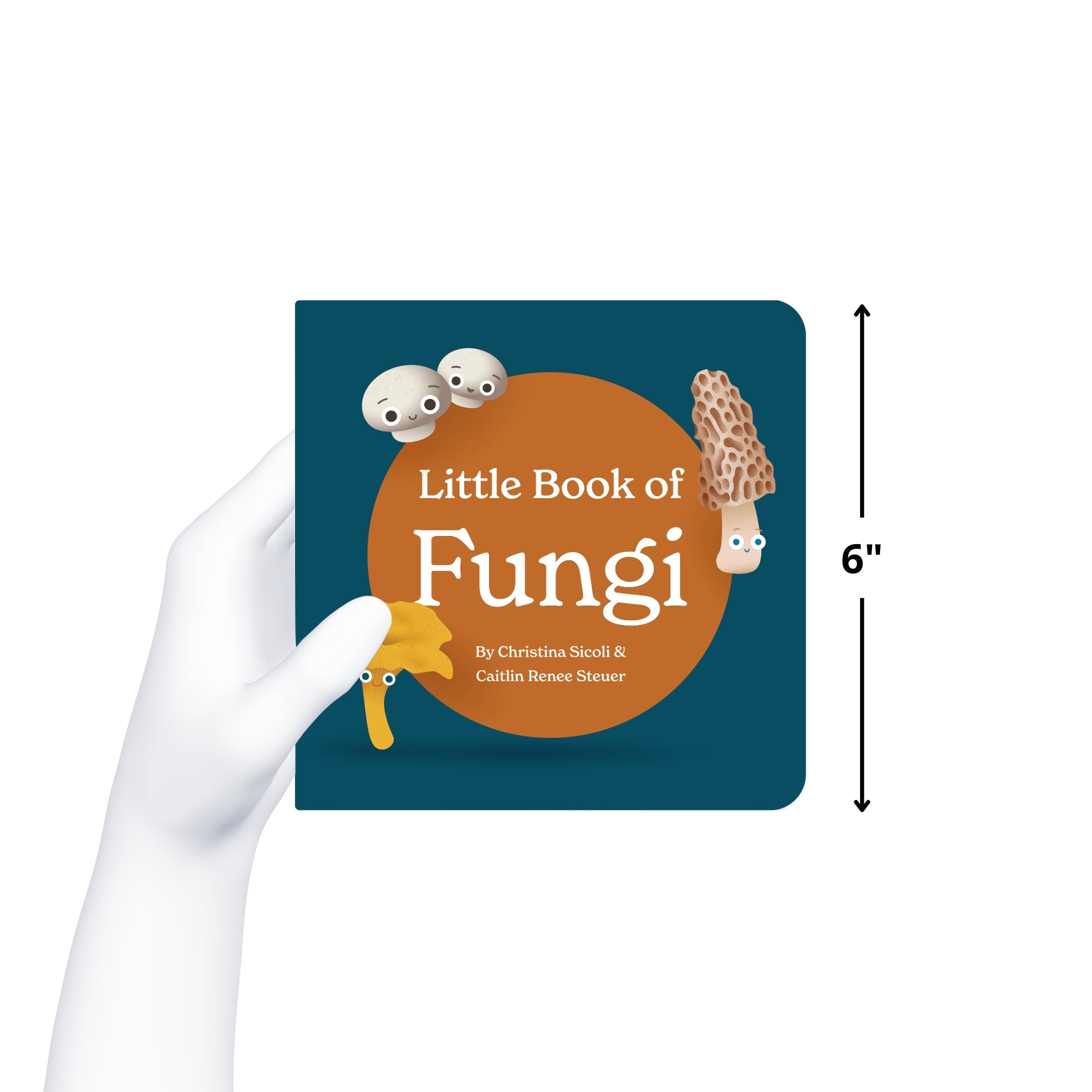 Little Book Of Fungi