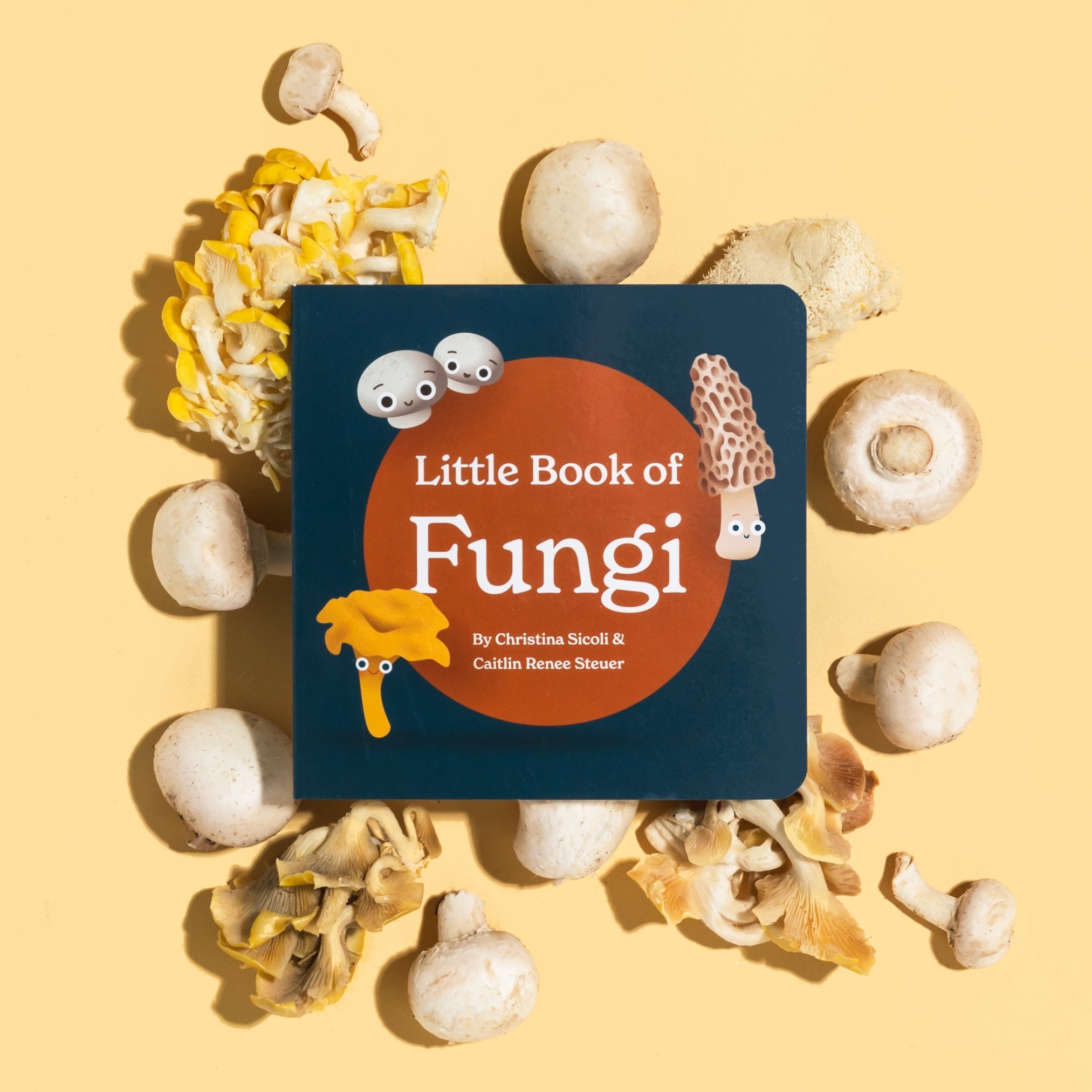 Little Book Of Fungi