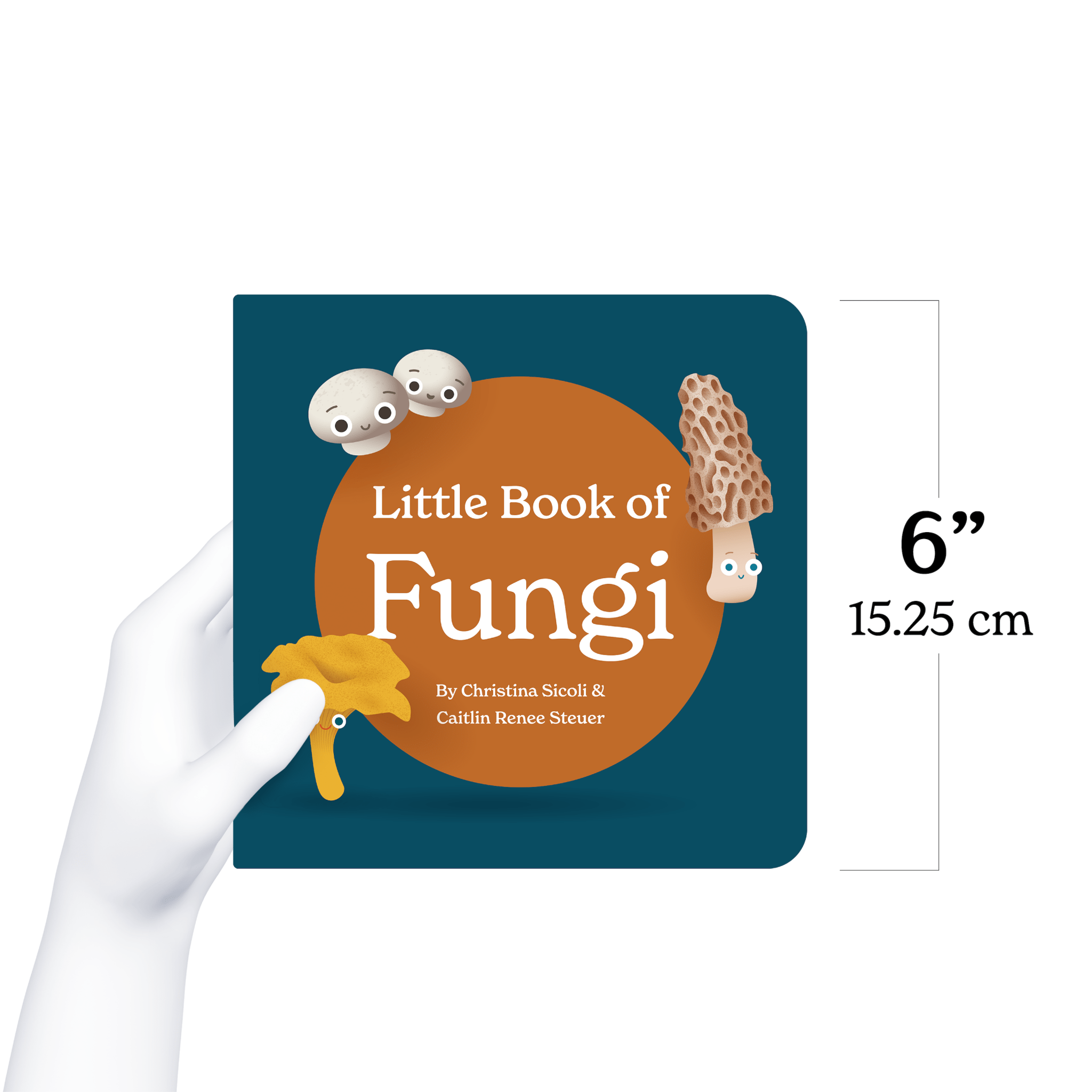 Little Book Of Fungi