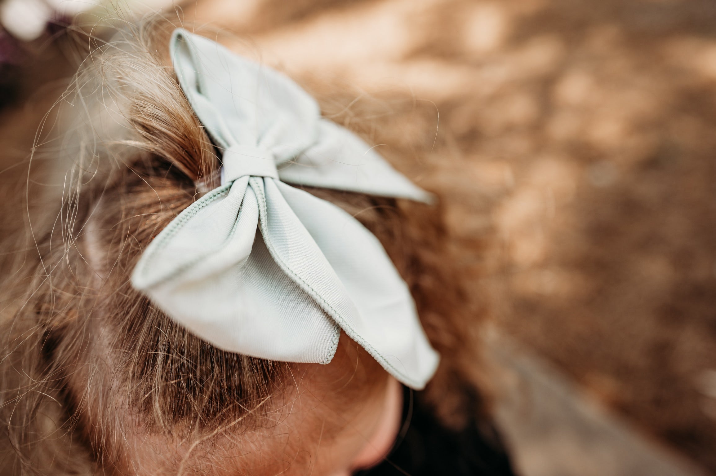 Little Love Bug Bows