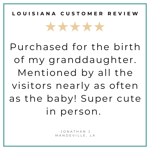 Louisiana Fleur De Lis Baby Gift Bundle 3 Piece Newborn Essentials