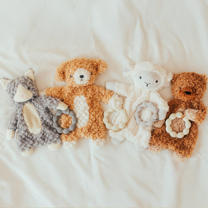 Bear Love