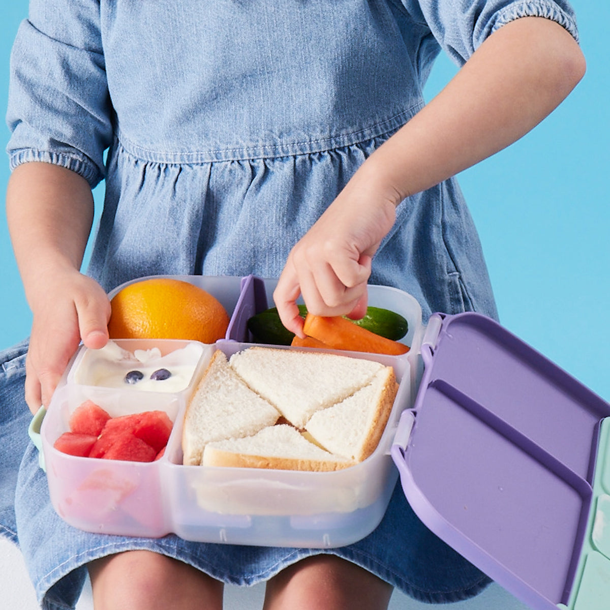Lunchbox - Lilac Pop