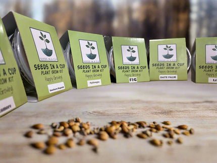 Oak Tree | Seed Starter Grow Kit |