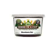 Macadamia Nut Tree | Seed Starter Grow Kit |