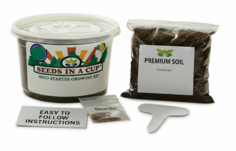 Apricot Tree  |  Seed Starter Grow Kit  |