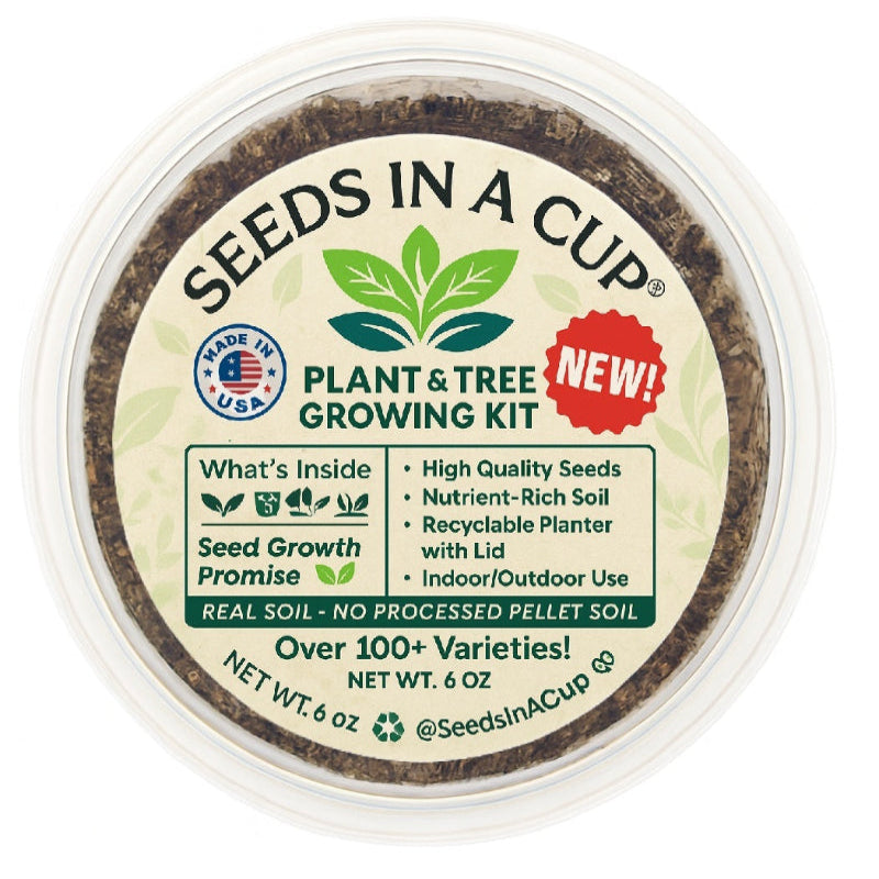 English Ivy Vine | Seed Starter Grow Kit |