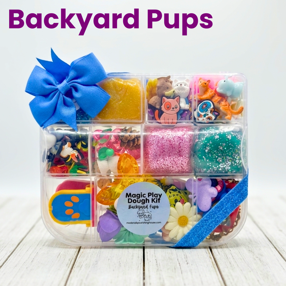 Magic Play Dough Kit