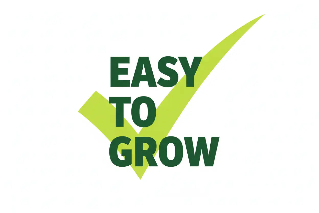 Plant Grow Kits