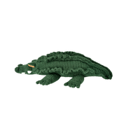 Marvin The Crocodile