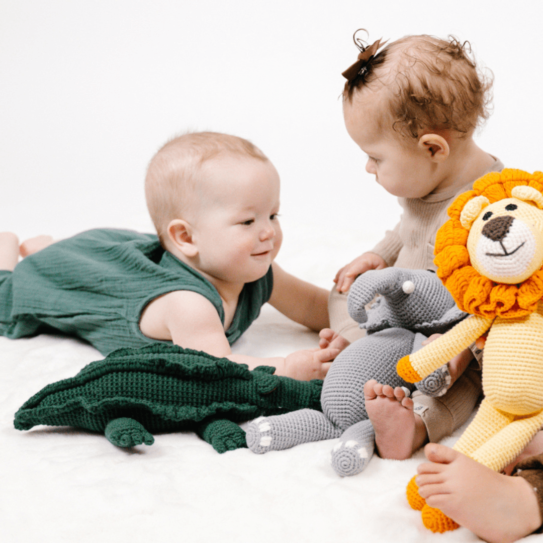 Marvin The Crocodile