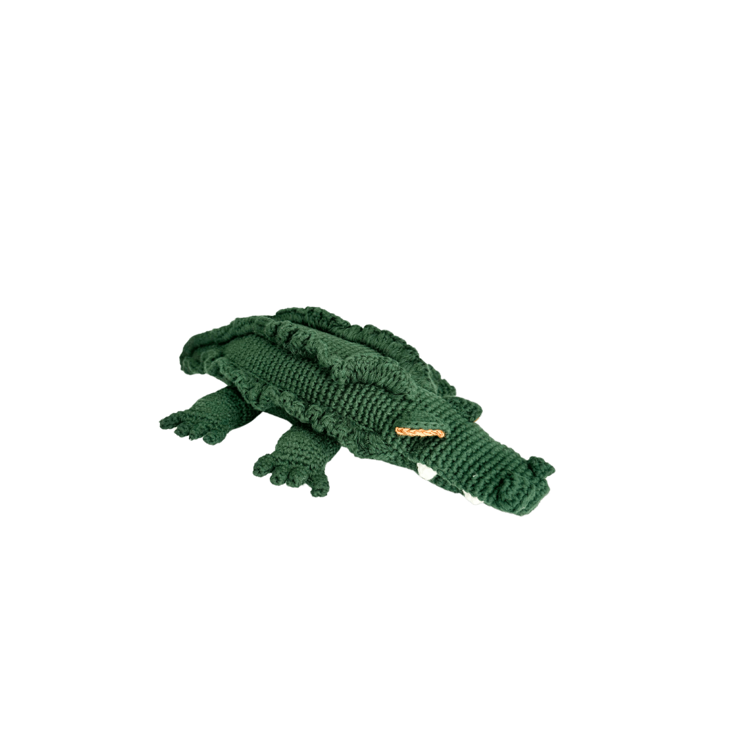 Marvin The Crocodile