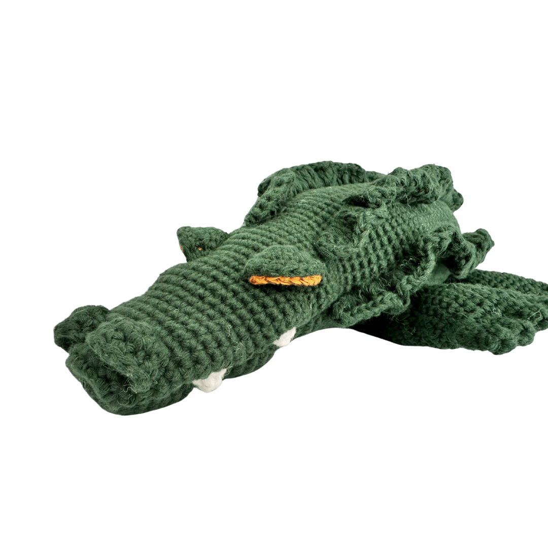Marvin The Crocodile