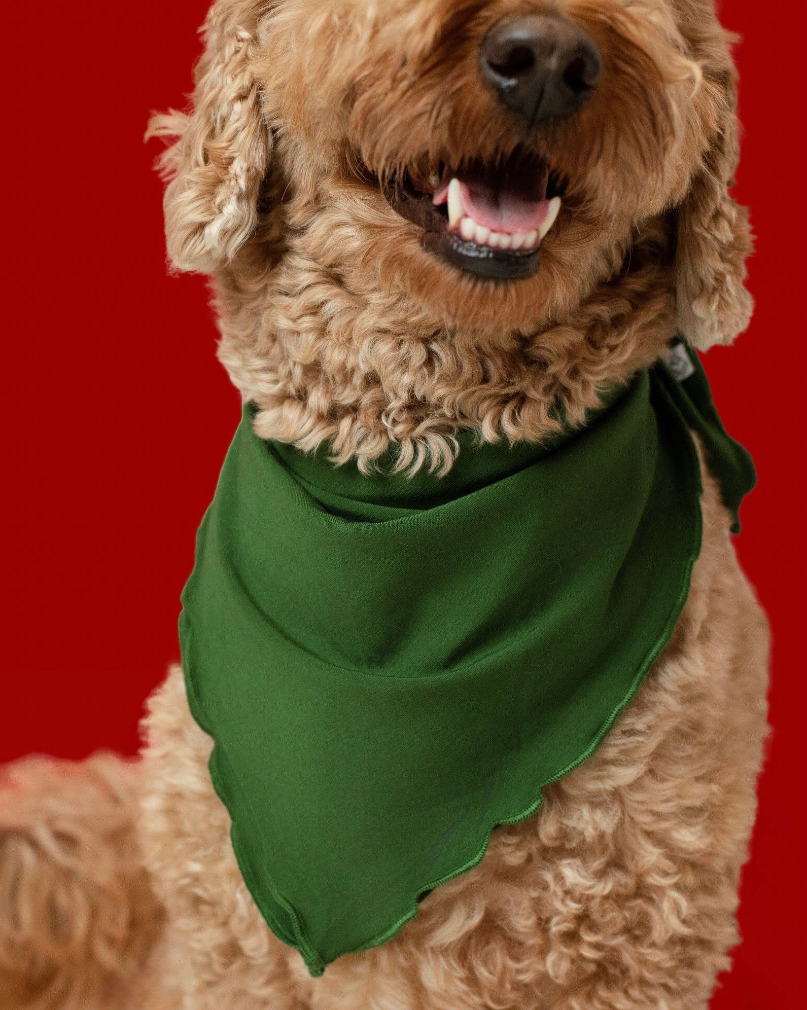 Christmas | Evergreen | Bamboo Pet Bandana
