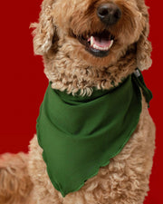 Christmas | Evergreen | Bamboo Pet Bandana