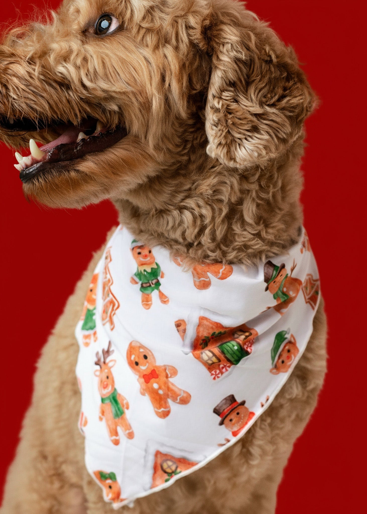 Christmas | Holiday Gingerbread | Bamboo Pet Bandana