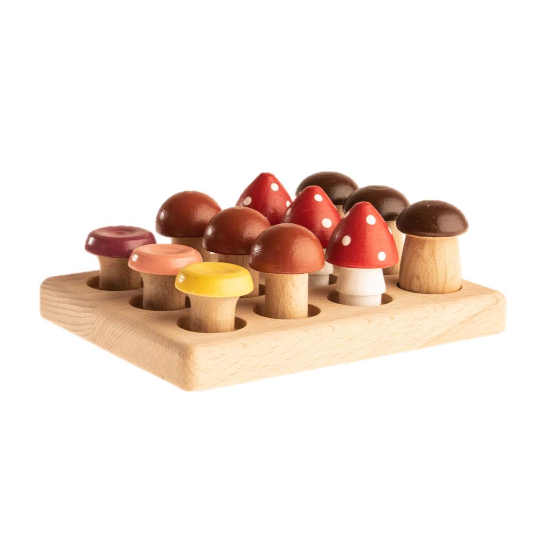 Wood Mushrooms On The Field