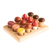 Wood Mushrooms On The Field