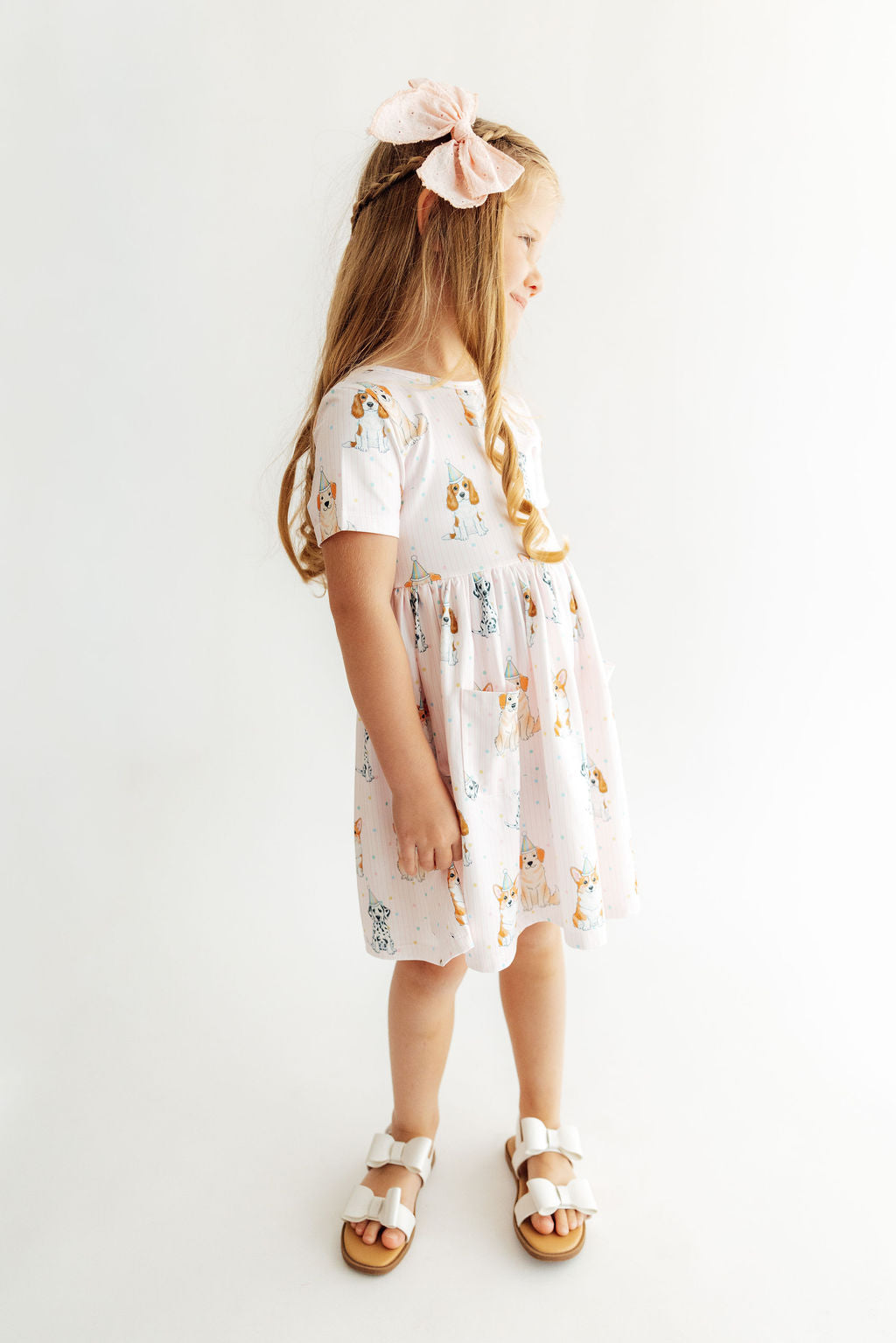 Party Pups S/s Pocket Twirl Dress