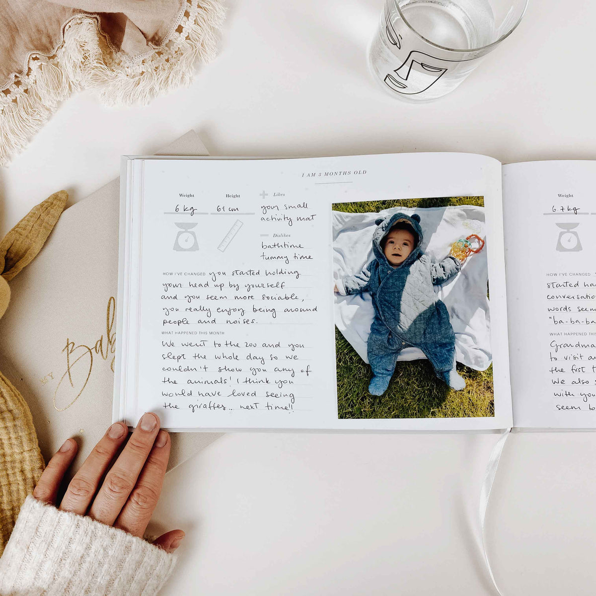 Baby Memory Book - Olive And Gold Foil With Gilded Edges