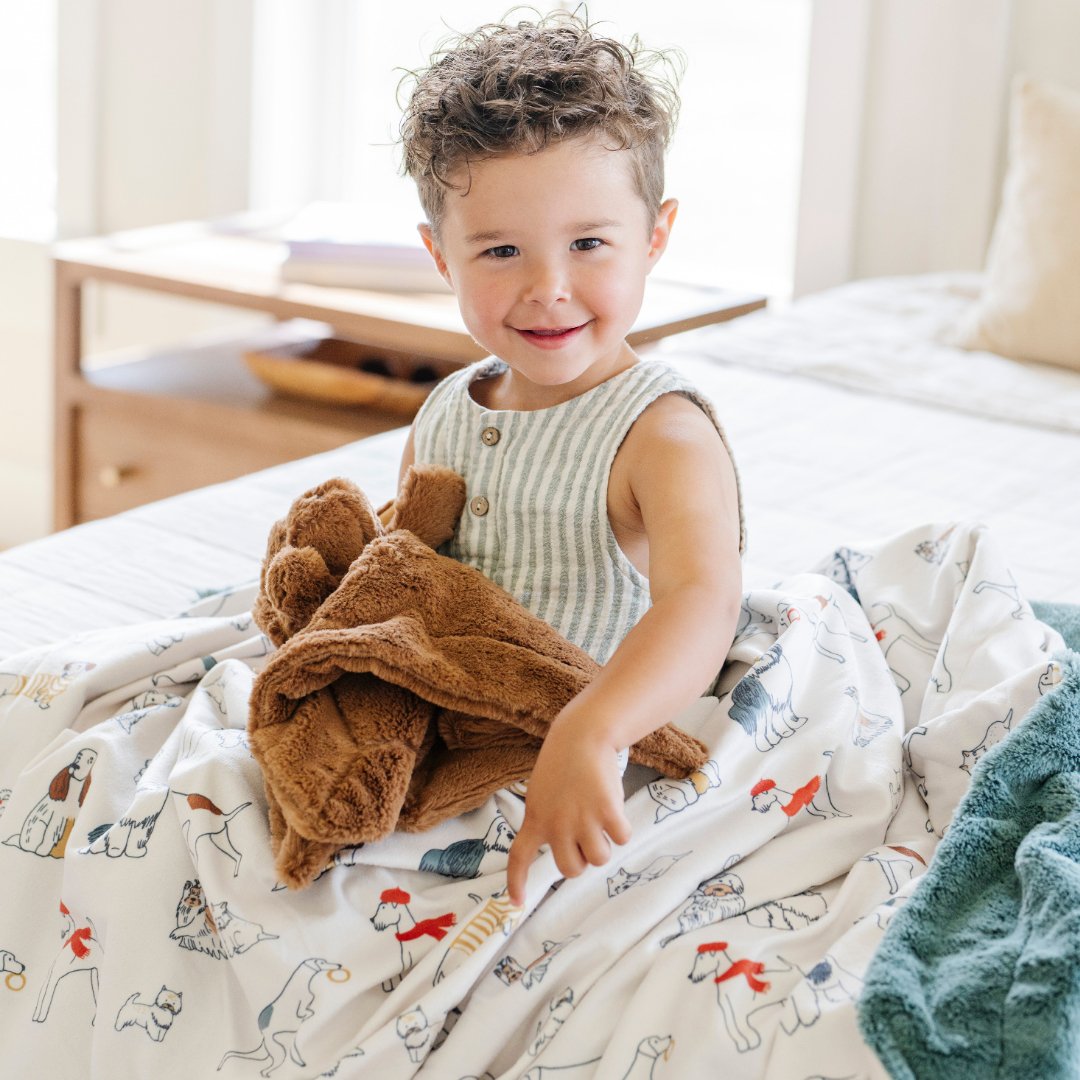 Minky/lush Xl Blankets