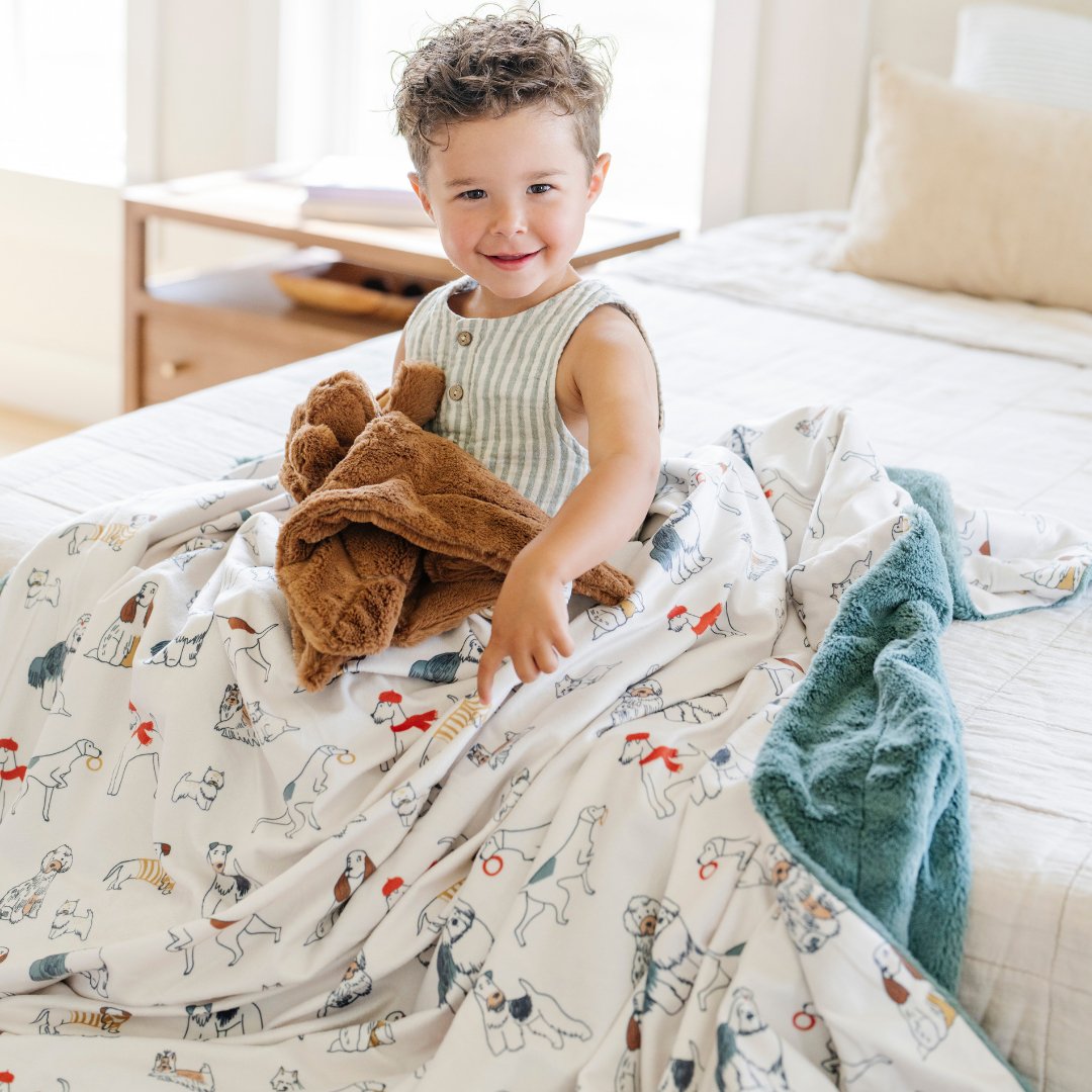 Minky/lush Xl Blankets