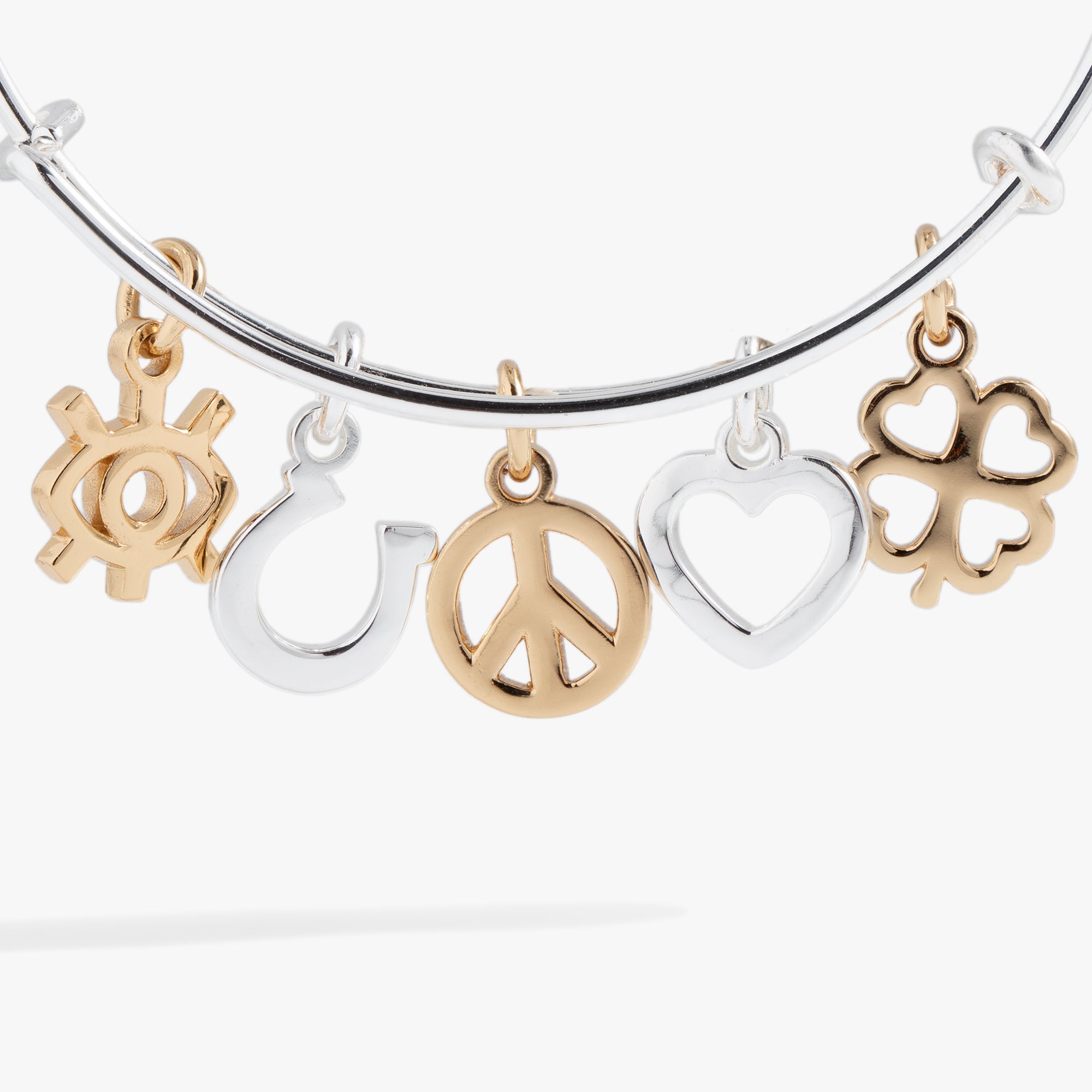 Mixed Symbol Multi-charm Bangle