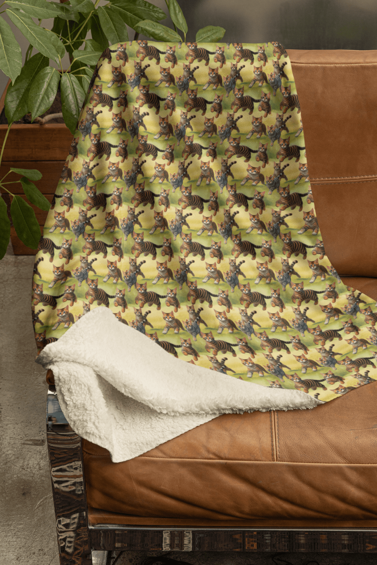 Baby Cats At Play Sherpa Blanket