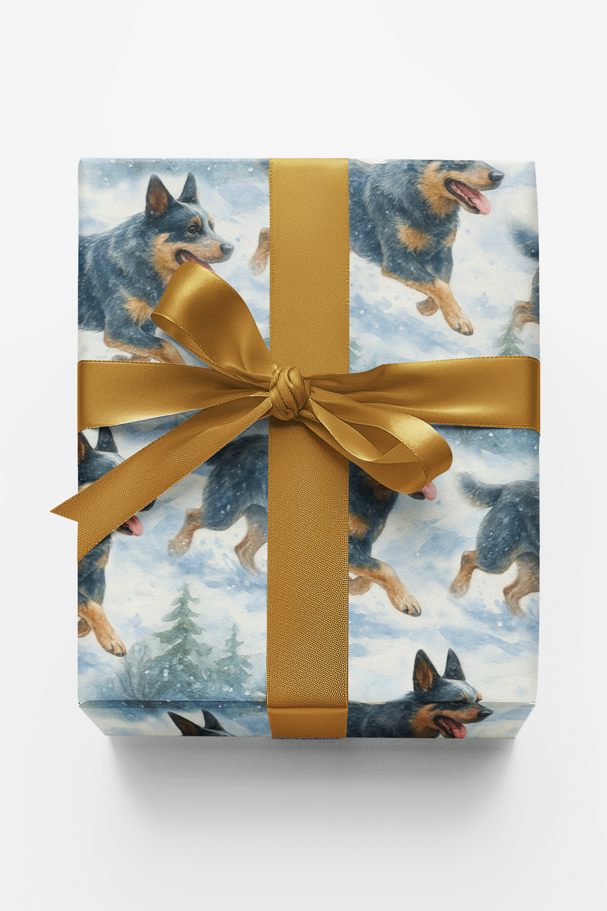 Holly Trails And Loyal Tails