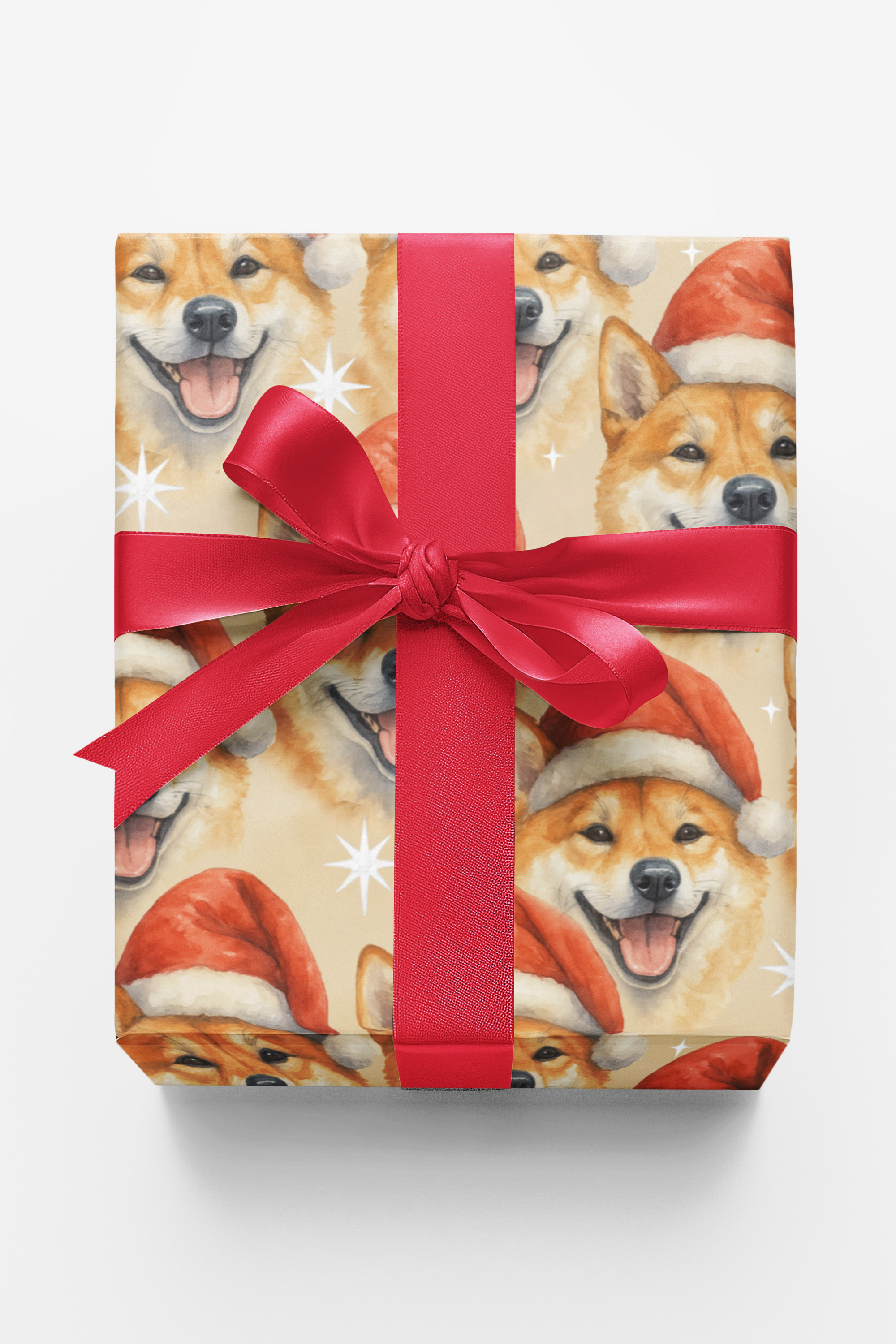 Silent Snow, Spirited Soul