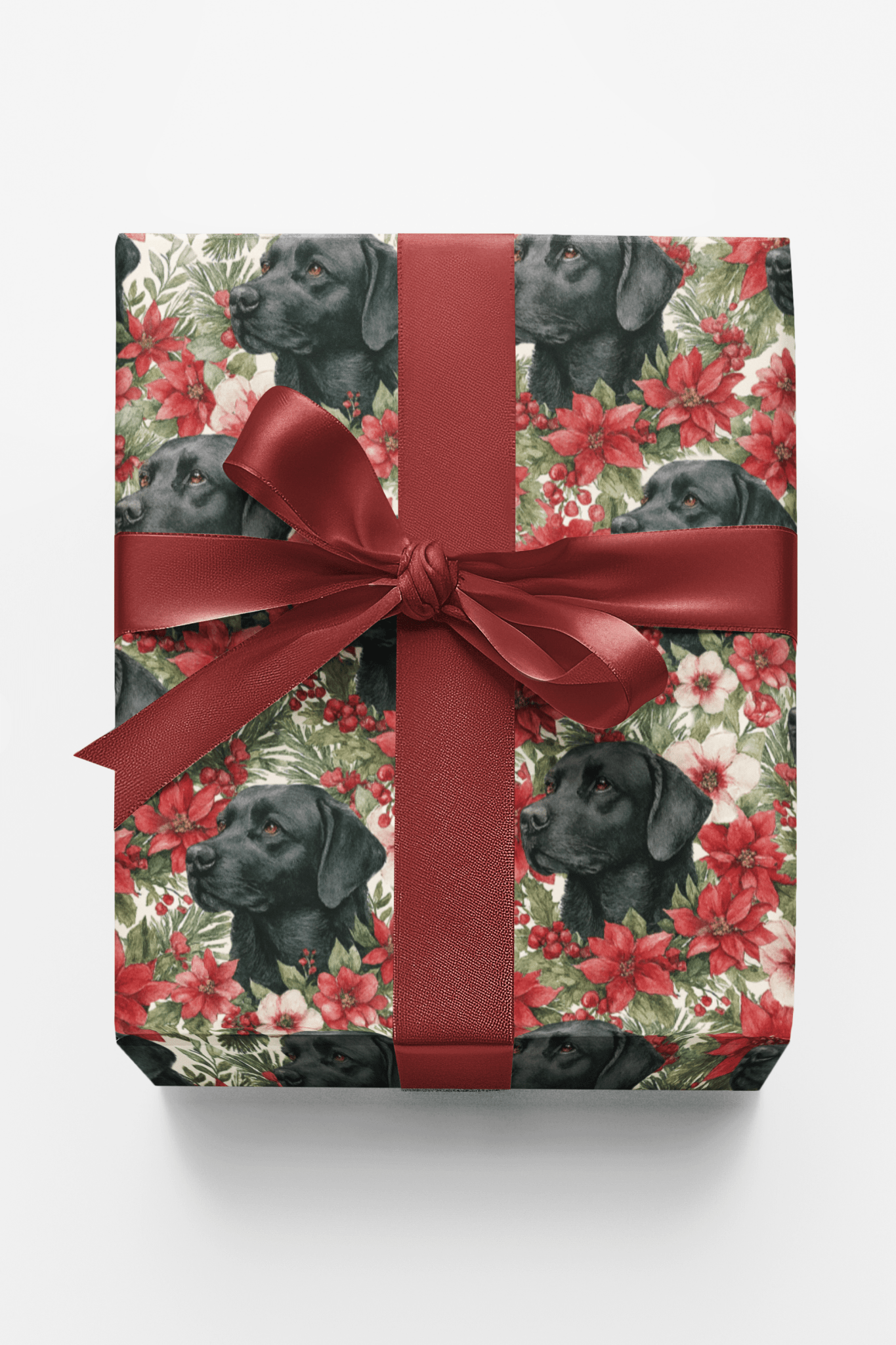 The Mistletoe Watcher