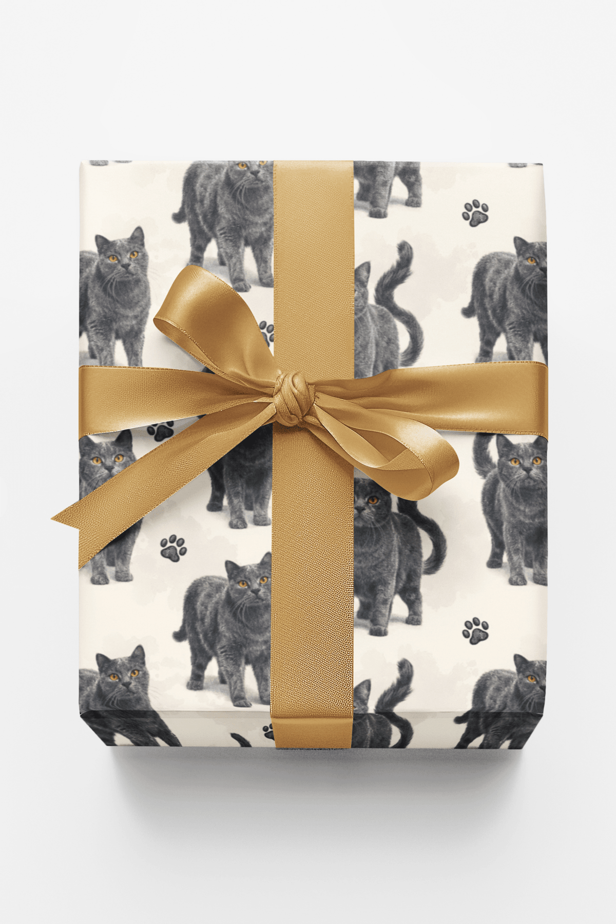 Chartreux Charcoal Wrapping Paper